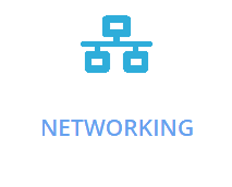 Networking IT Support